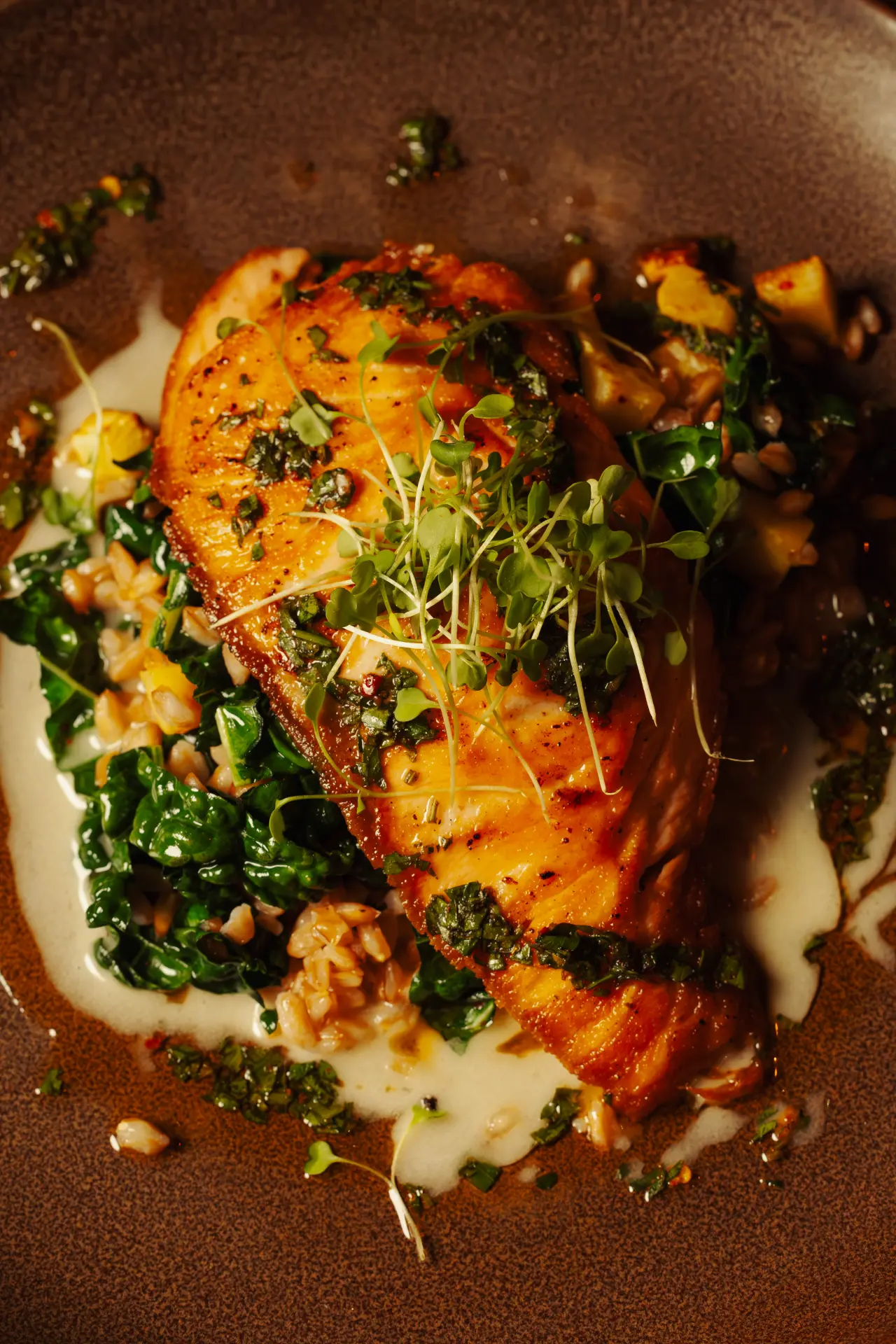 A salmon dish at CALA