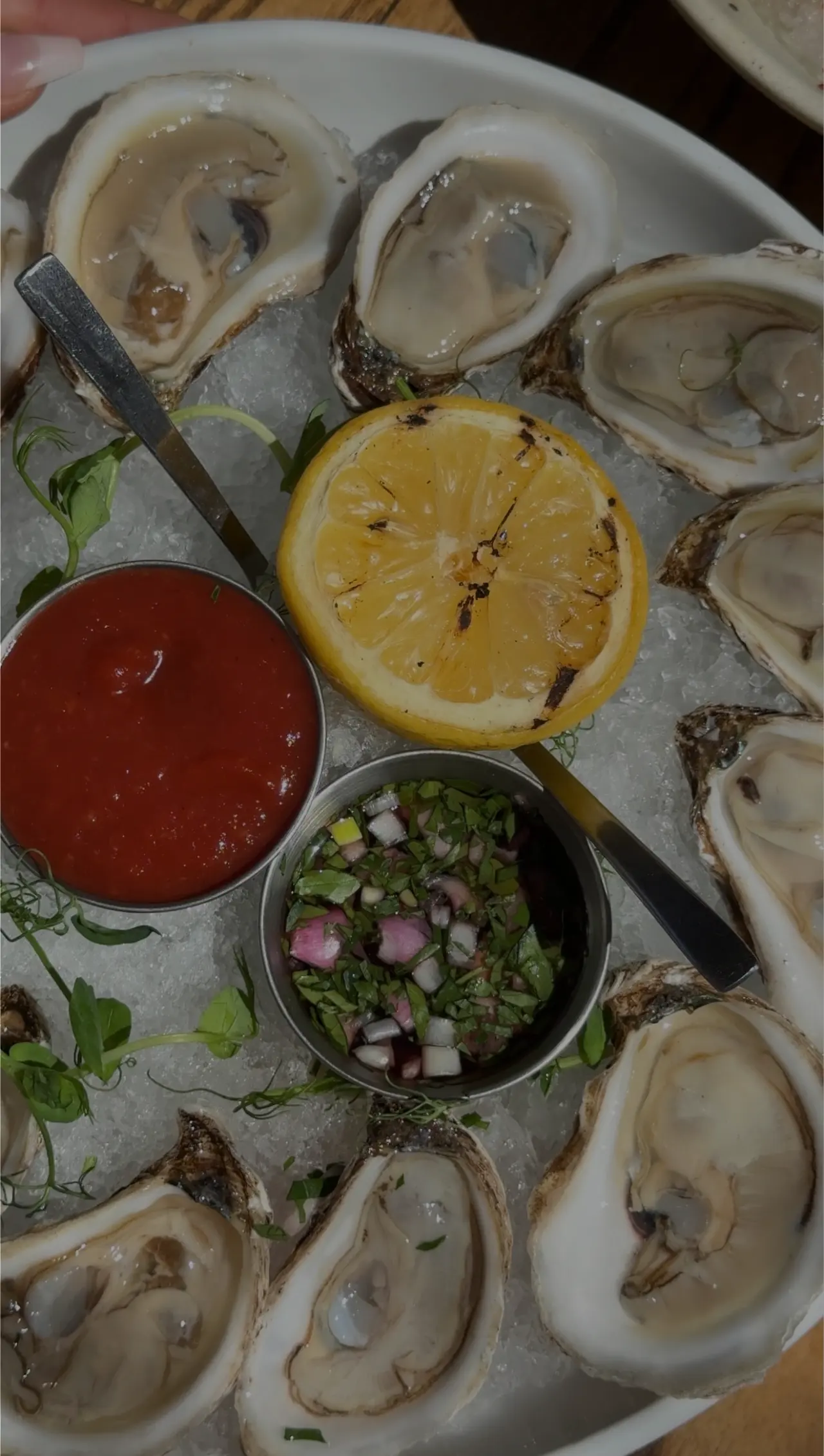 Oysters on ice at CALA