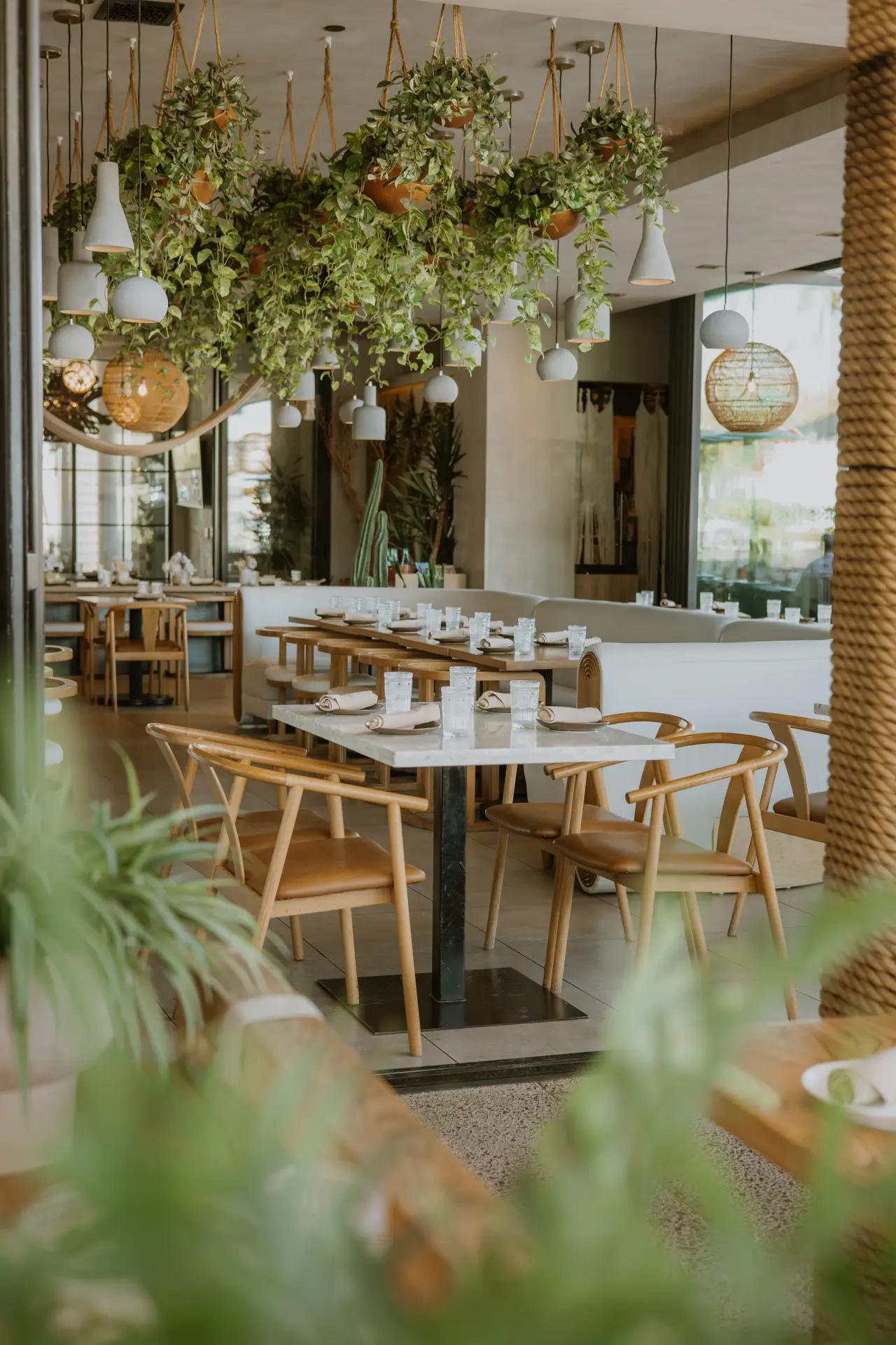 The patio under the hanging plants